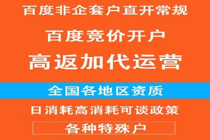 案例分析：竞价推广实战中的困境与突破